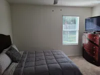 Brand new modern home near the heart of Tampa