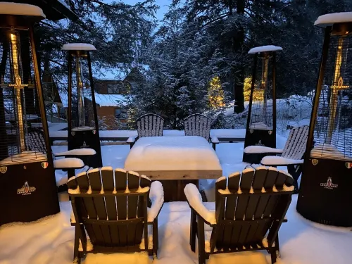 Windham Moutain Ski House: Walk on & off Slopes - Families Only!