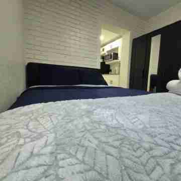 Cozy 1-bedroom apartment in charming Tampa- Near Bayshore, Hyde Park & Downtown. Rooms