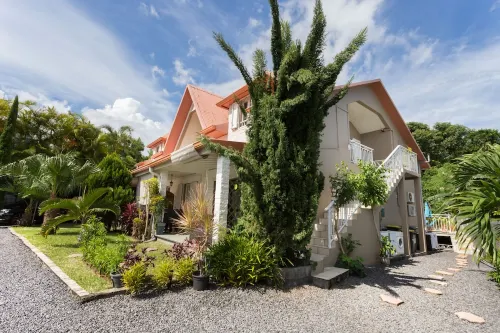 THE BAMBOO F1 St Joseph