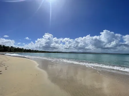 Downtown Punta Cana Villa Отели рядом с достопримечательностью «Экологический парк Indigenous Eyes»