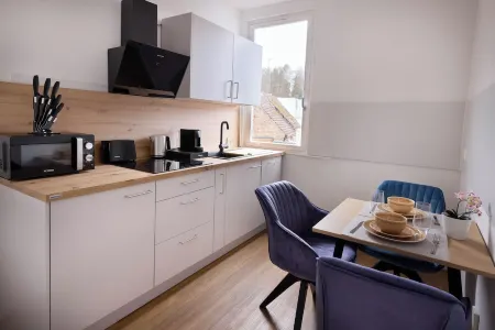 Design apartment with king-size beds & balcony Отели в г. Пфорцхайм