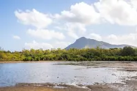 Spacious 5-bedroom villa in wonderful Rivière Noire with WiFi, AC