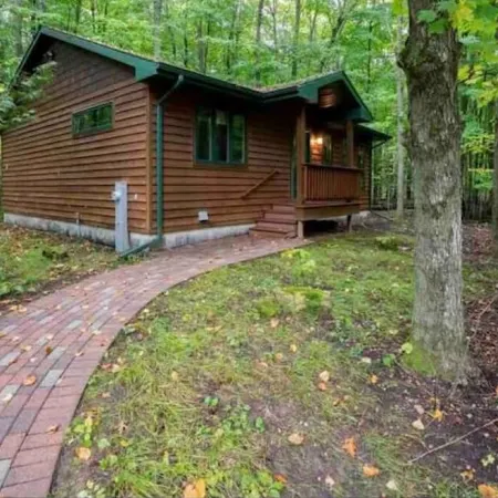 Cozy Cottage in the Woods