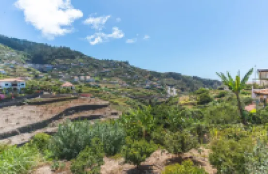 朱莉安娜的房子2號由大西洋假日提供