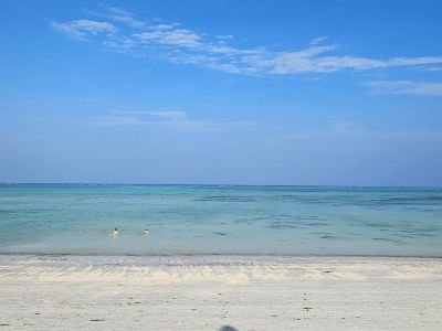 Serene Zanzibar Retreat with Stunning Pool & Beach Access