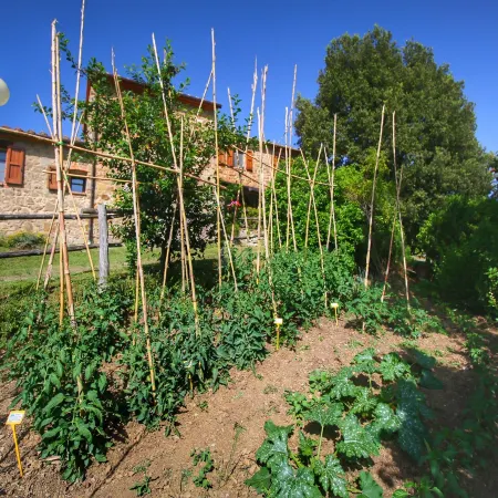 Farmhouse in Paciano near Monte Pausillo Park