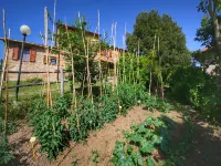 Farmhouse in Paciano near Monte Pausillo Park