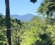 No Steps and Dogs Welcomed!