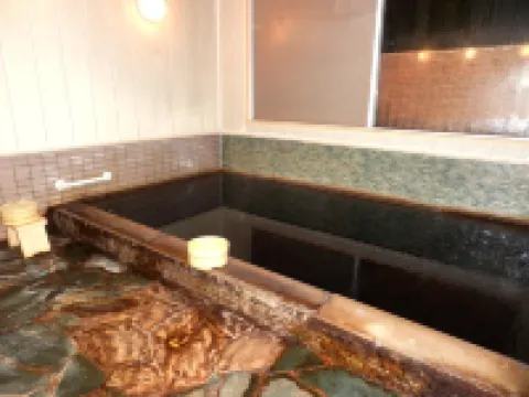 Tenryuso Hotels in Otaki