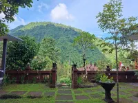Sekumpul Guest House Hotels near Git Git Waterfall