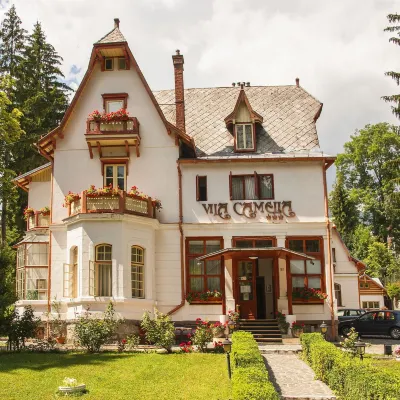 Vila Camelia Hotels near Peles Castle