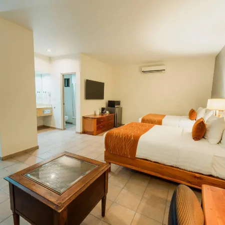 Comfort Inn Tampico