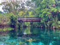 Cozy Stay in Ocala ~ King Bed, Fenced Yard, WiFi ~ Near Historic Downtown & Wec