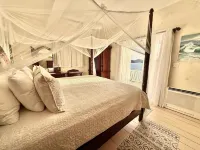 Artistically Designed Home with Huge Ocean Views, Small Dipping Pool and Hot Tub
