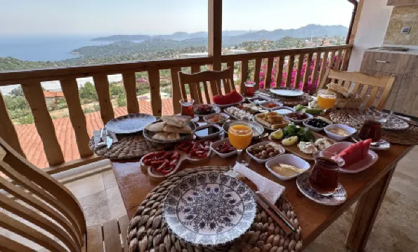 Istlada Tas EV Apart