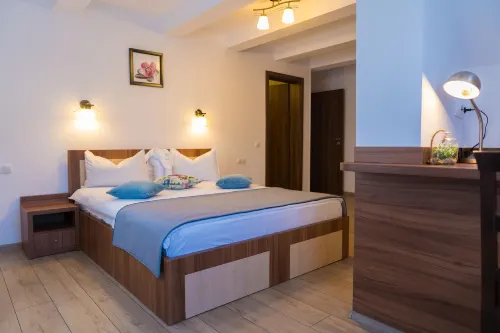 Pensiunea Transilvania - Homestays