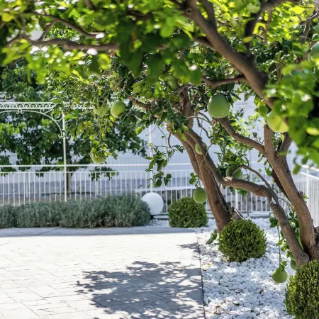 Villa la Pagaia