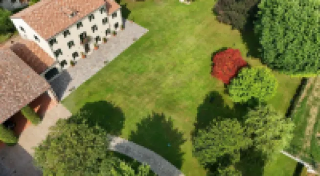 鄉村奢華柳樹民宿