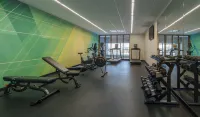 拉瓦爾-蒙特利爾假日酒店 - 健身室/gym room