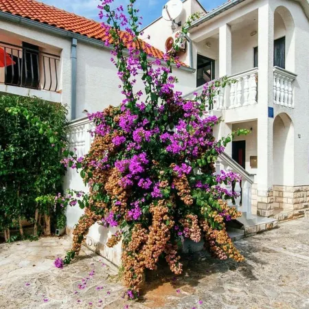 Apartment Nada Отели в г. Петрчане