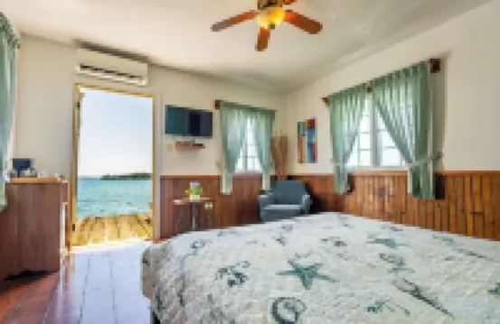 Faro del Colibri Hotels in 