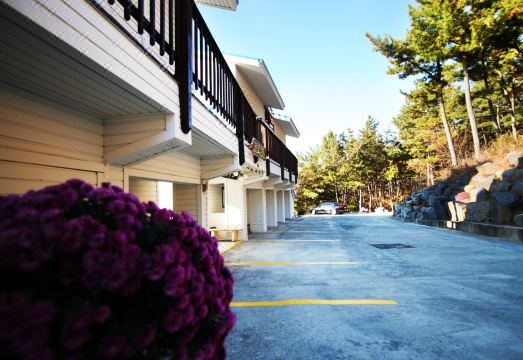 서천 바다 전경