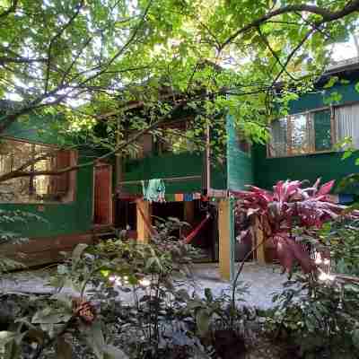 Roots and Wings Spacious House with Forest Views and Private Garden Hotel Exterior