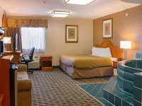 Quality Inn & Suites Detroit Metro Airport Hotels in Romulus