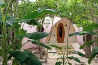 Room in Lodge - Unique Jungle Dome 2 Queen Beds - Mökki