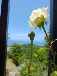 Umi GA Mieru Yado Sanpomichi - วิวภูเขา