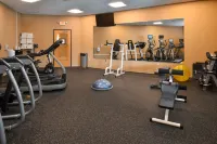 Holiday Inn Express BREEZEWOOD by IHG - Gym