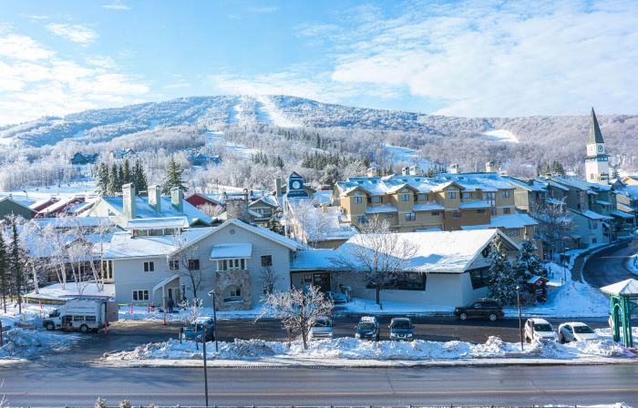 Long Trail House Condominiums at Stratton Mountain Resort