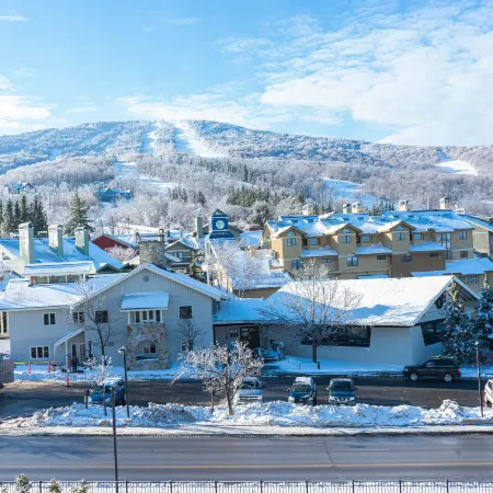 Long Trail House Condominiums at Stratton Mountain Resort