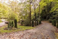 Blackberry Creek Cabin - Feriehus