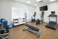 Holiday Inn Express & Suites PORT RICHEY by IHG - salle de sport