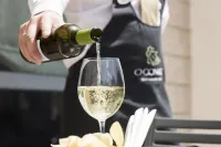 Hotel Dom Goncalo & Spa - Bar