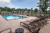 Hampton Inn Benson - Pools