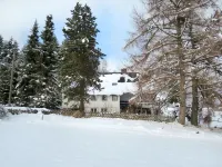 Blechnerhof Hotels in Feldberg