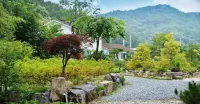 Damyang Clover Pension