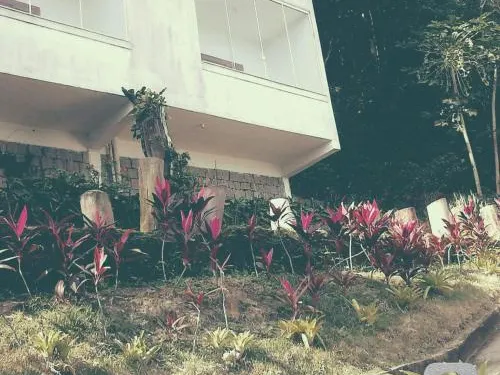 普達薩皮克拉酒店