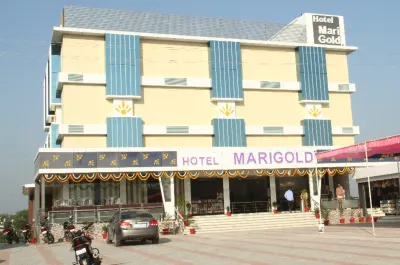 Hotel Marigold Hotels near Mukhi Arcade