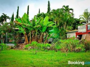 Banyan Tree Sanctuary Guest House