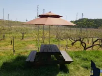Yangyang Bali Star Pension (Emotional Camping) فنادق في يانغيانغ