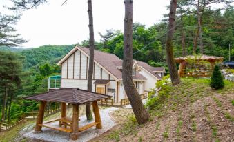 Wonju Sarichi Land in Forest Pension