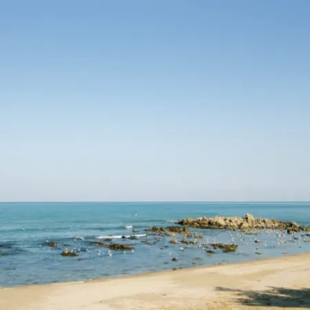 Yangyang Budtree Pension