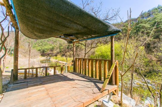 제천 숙소 비교 이미지