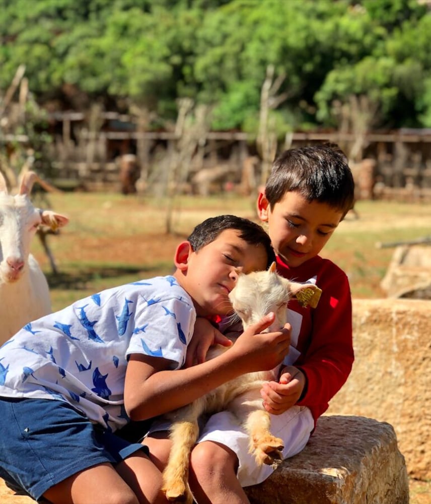 Yenice Vadi Dogal Yasam Koyu