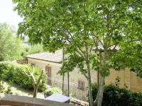 Vaniglia