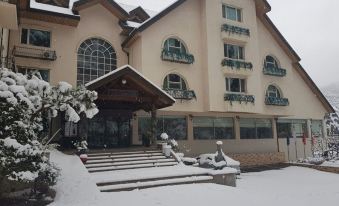 a large , modern building with multiple balconies and windows is surrounded by snow - covered steps and greenery at Hotel Chalet